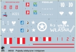 Captured & non-standard vehicles in Polish service